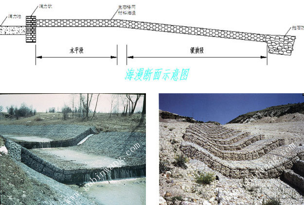 昊昌